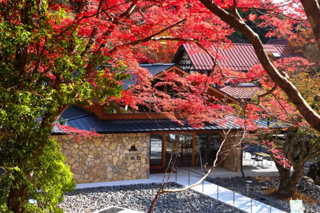 滑床渓谷の紅葉と食欲の秋！宇和島市11月の産業祭・秋の行楽ドライブマップ