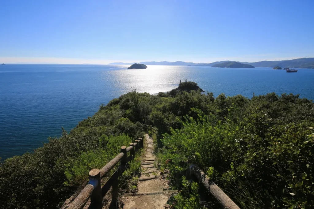 夏本番！商店街の土曜夜市と潮風。八幡浜市7月の夏祭り＆レジャーガイド